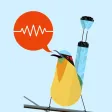 ChirpOMatic Caribbean ChirpOMatic Caribbean