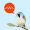 ChirpOMatic - Birdsong Europe