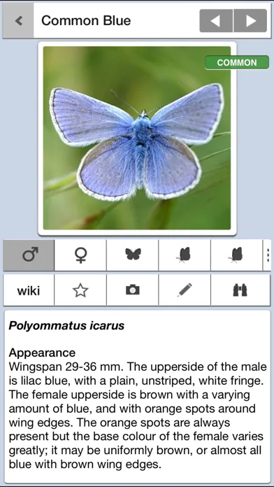 Capturas de pantalla de Butterflies & Day Moths UK