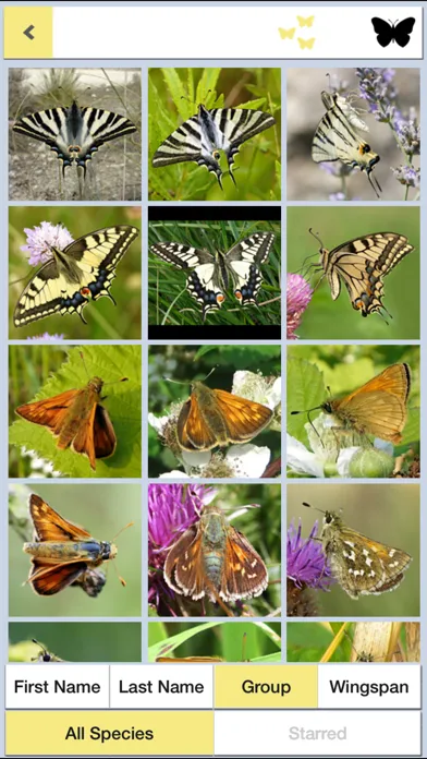Capturas de pantalla de Butterflies & Day Moths UK