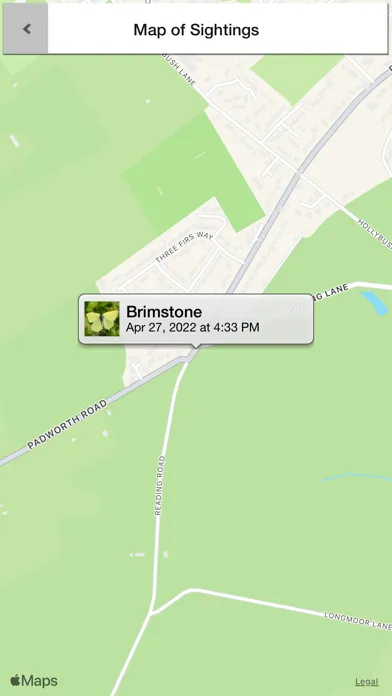 Capturas de pantalla de Butterflies & Day Moths UK