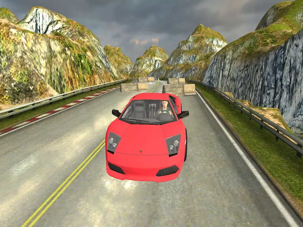 Realistic Hill Car Parking Test : Perfect 3D Driving Simulation Games iPad 应用截图