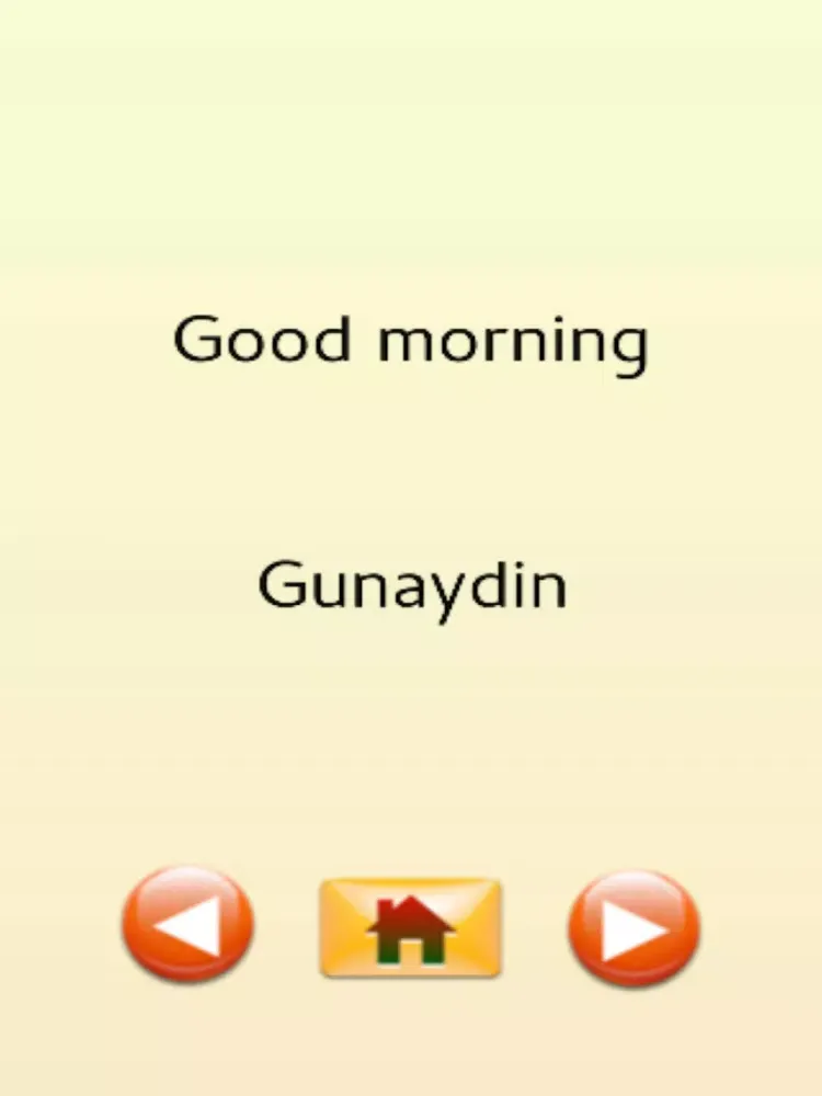 Captures d'écran de Turkish Travel Phrases iPad 