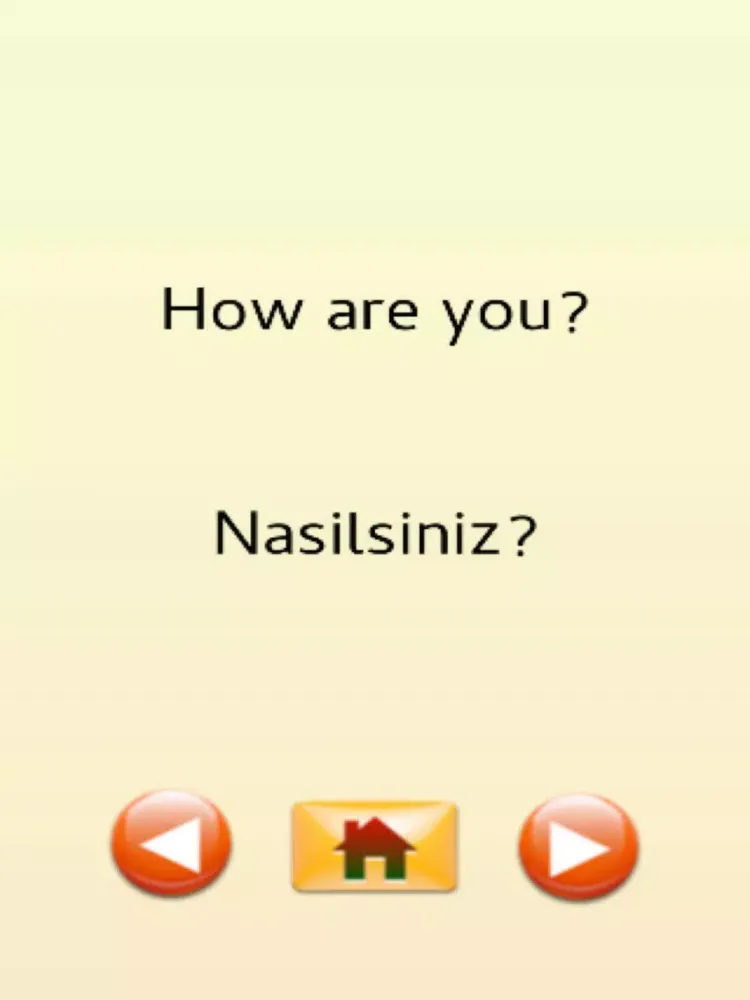 Captures d'écran de Turkish Travel Phrases iPad 