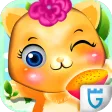 Pet Kitty Spa & Care