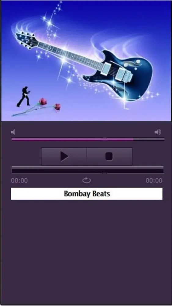 Hindi FM Radios Online 스크린샷