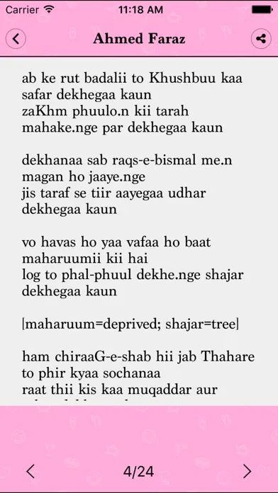 Screenshot di Hindi-Urdu Poetry