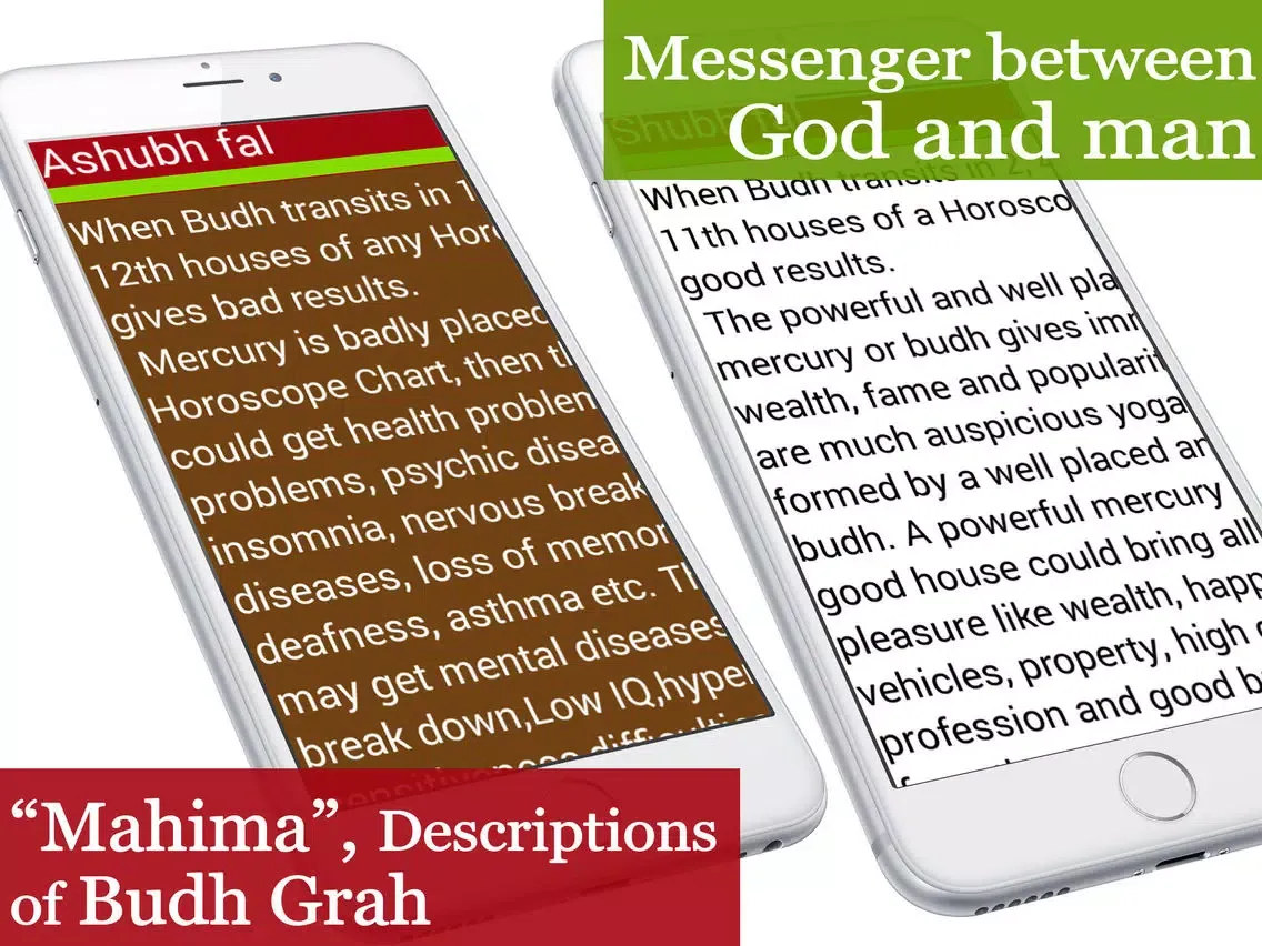 Ảnh chụp màn hình của Budhgrah iPad 