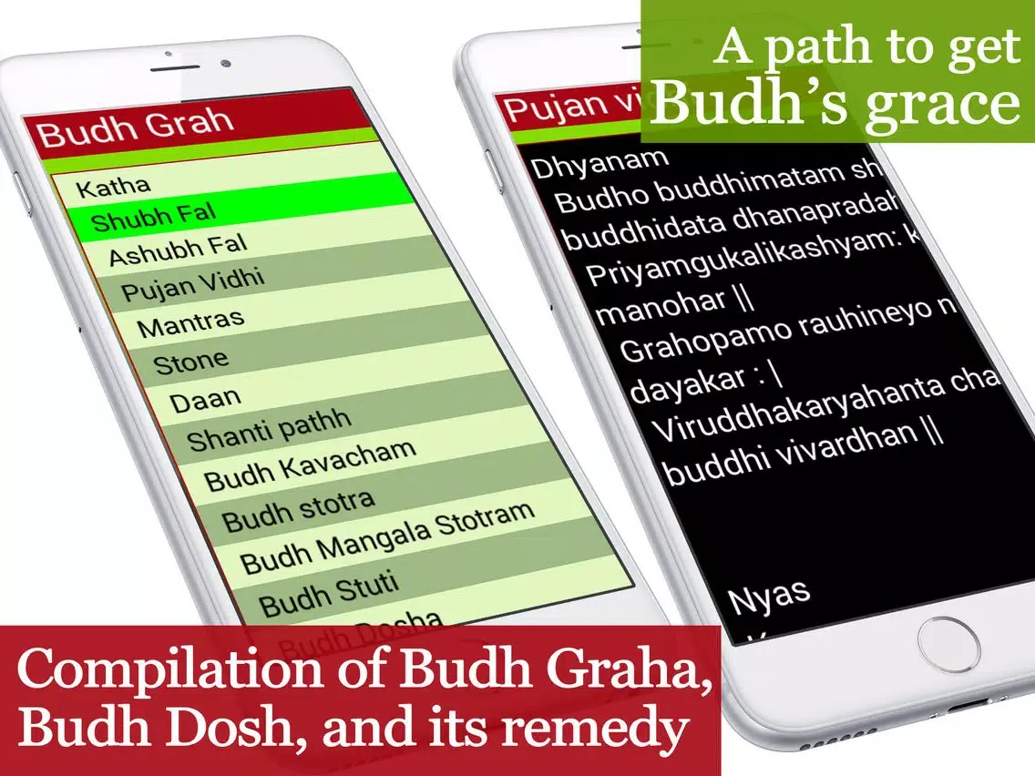 Ảnh chụp màn hình của Budhgrah iPad 
