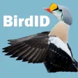 BirdID Nord University BirdID Nord University