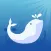 Hip-hop whale space