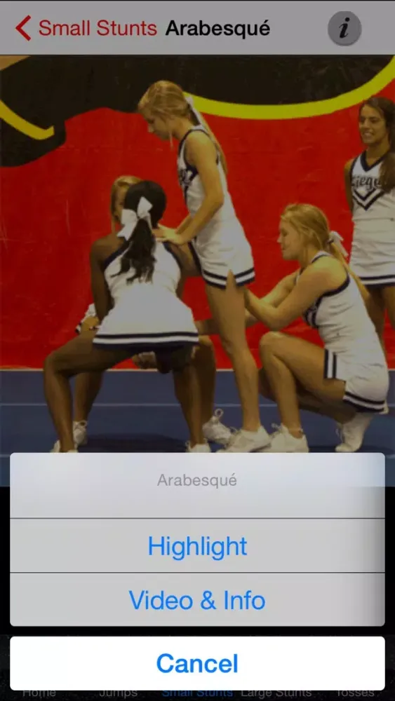 Cheerleading Skills应用截图