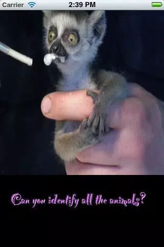 Baby Animal Identifier Screenshots
