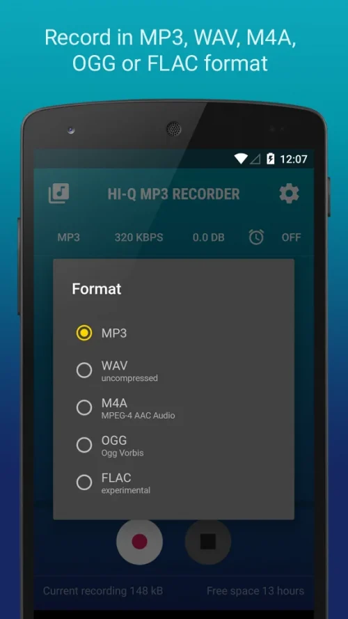 Hi-Q MP3 Voice Recorder (Pro)-screenshot-5