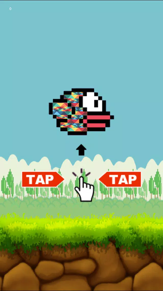 تصاویر Motley Bird