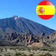In Sight - The Canaries