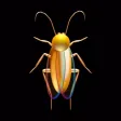 Hit Cockroach Hit Cockroach