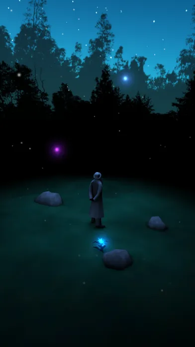 Скриншоты Starlit Night