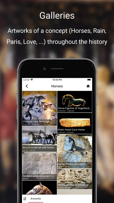 صور History of Art App