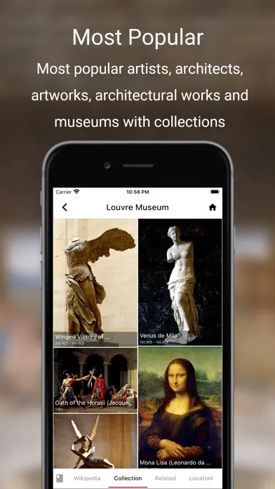 صور History of Art App
