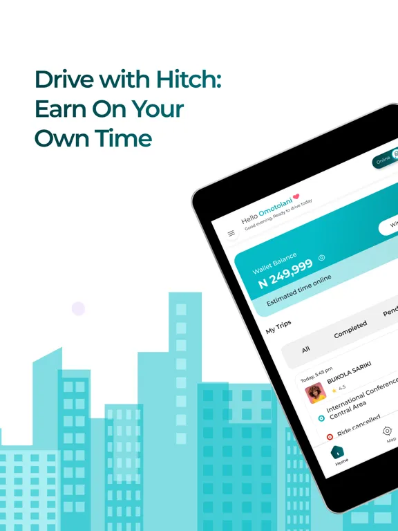 HitchAfrica Driver iPad  Ekran Görüntüleri