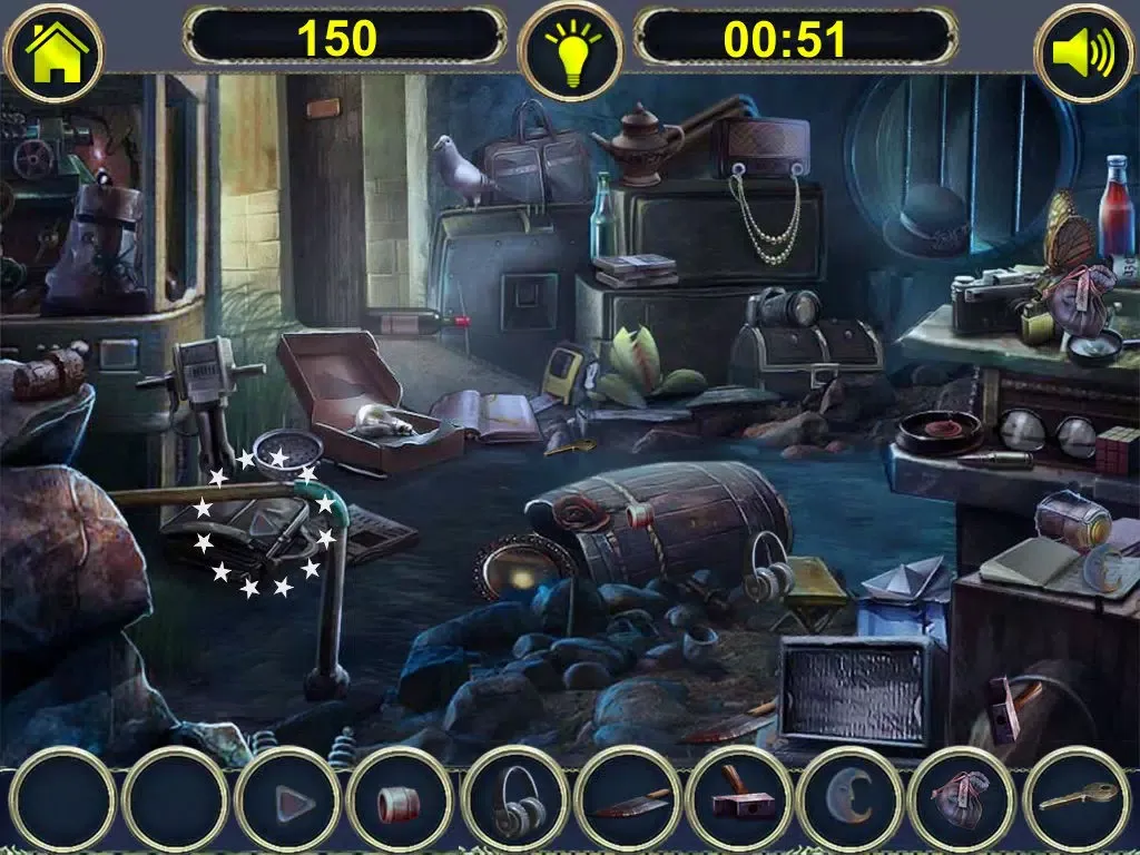 The Flood - Hidden Objects iPad 应用截图