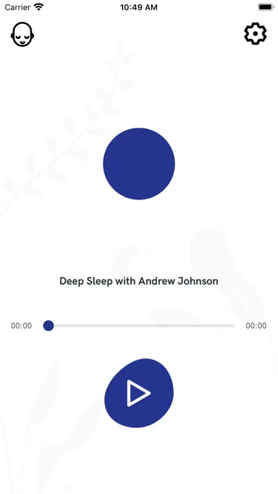 Ảnh chụp màn hình của Deep Sleep with AJ