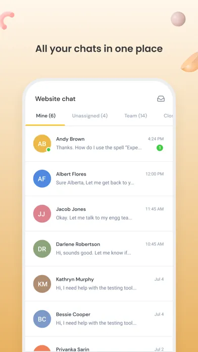 Hiver Chat Screenshots