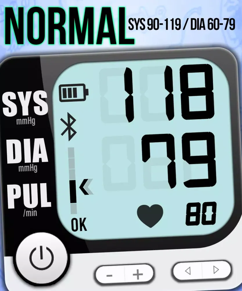 Tangkapan layar Daily Blood Pressure Checker