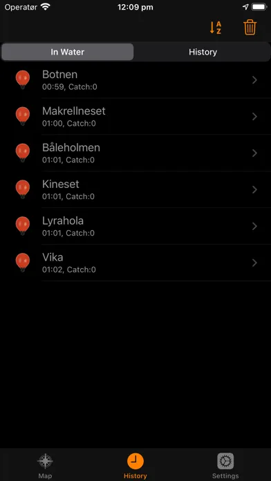 Screenshot di Teiner