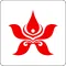 Hong Kong Airlines
