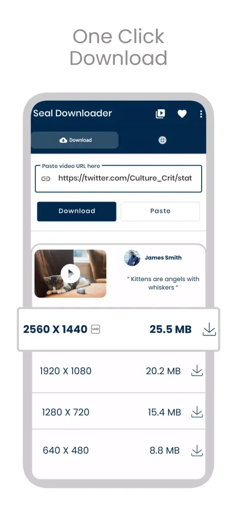 Скриншоты SealX Downloader