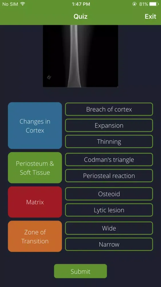 Bone Lesions Screenshots