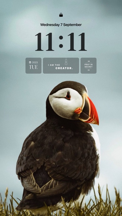 Wallzy - Wallpapers & Widgets应用截图