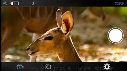 Capturas de tela do Trail Camera Pro