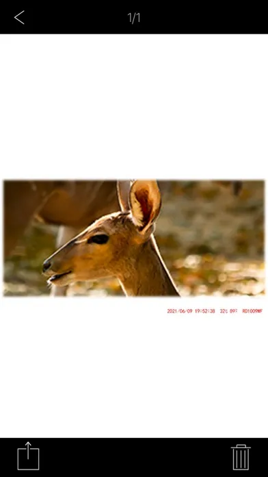 Capturas de tela do Trail Camera Pro