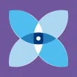 Iris - Video Analytics
