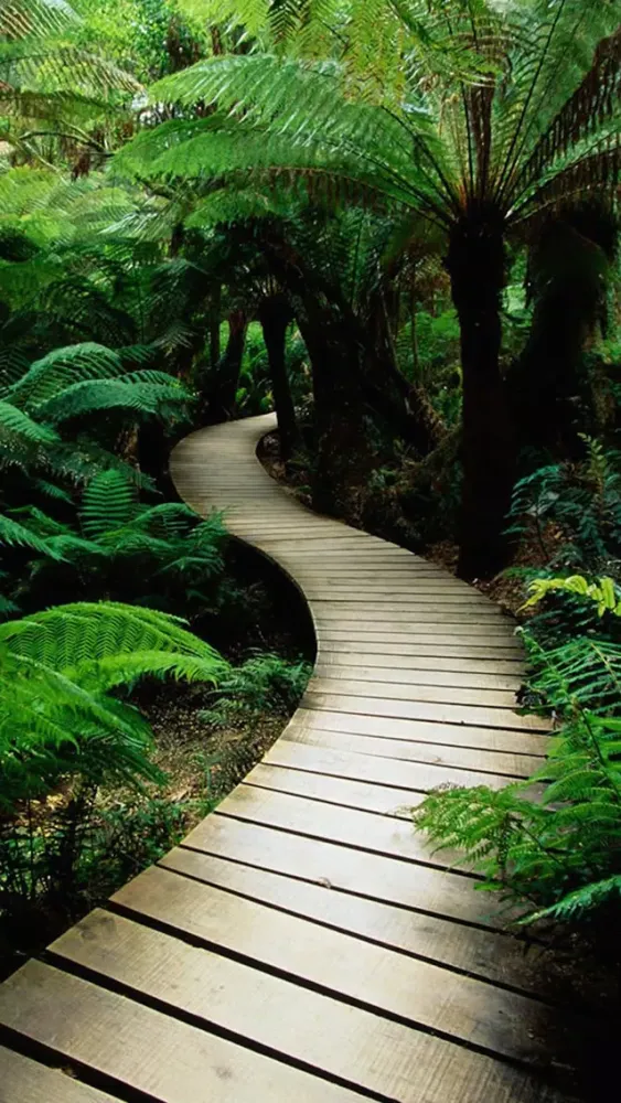 Nature Wallpapers HD- خلفيات طبيعة Ekran Görüntüleri