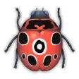 David Wiesner's Spot