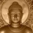 Buddha Quotes+