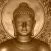Buddha Quotes+