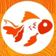 Kingyo App