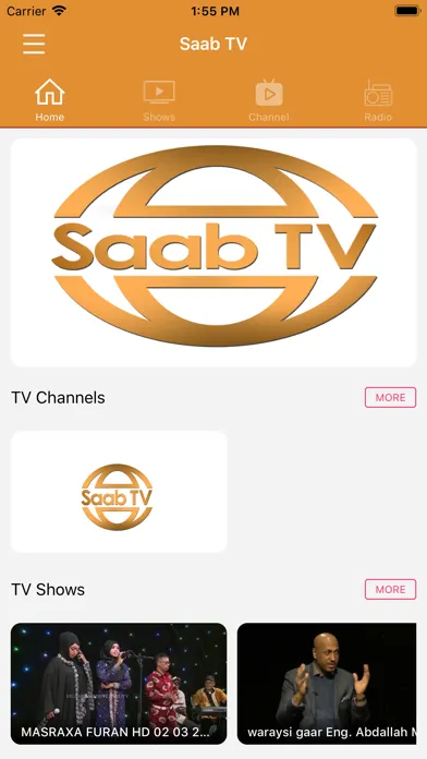 صور SAAB TV