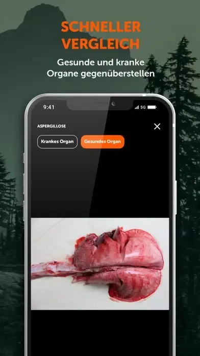Wildkrankheiten erkennen Screenshots