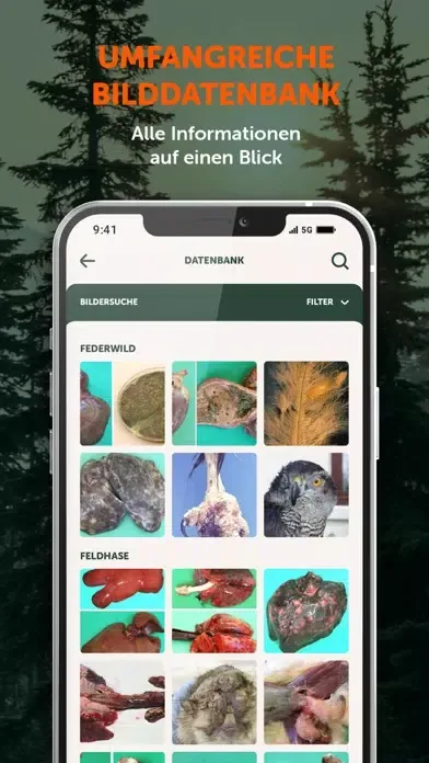 Wildkrankheiten erkennen Screenshots