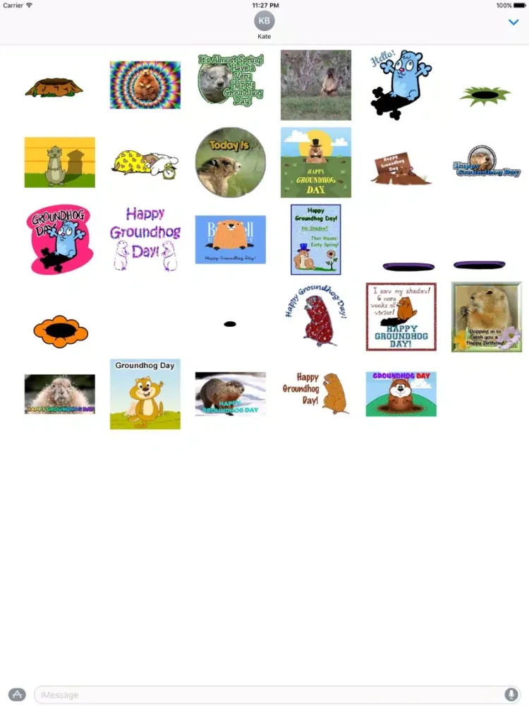 صور Animated Groundhog Day Sticker iPad 