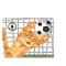 Scoccer Team Of Cats Sticker