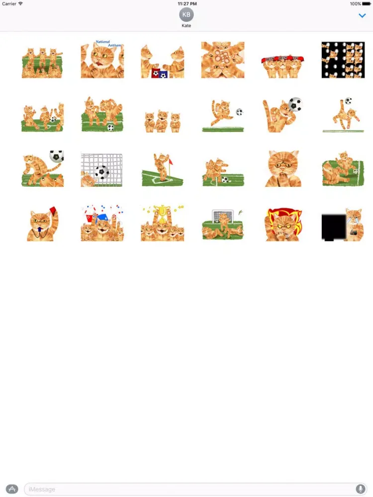 Scoccer Team Of Cats Sticker iPad  স্ক্রিনশট