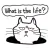 Scowl Cat Sticker