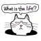 Scowl Cat Sticker
